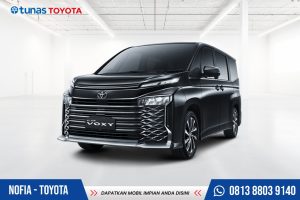 All New Voxy